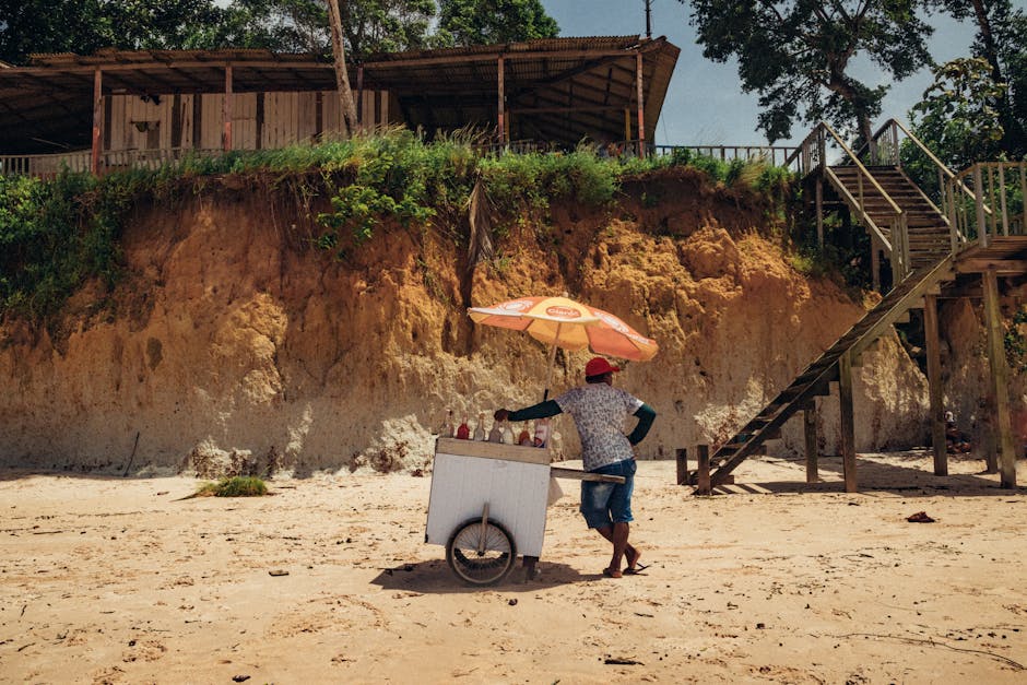 Imagen del artículo