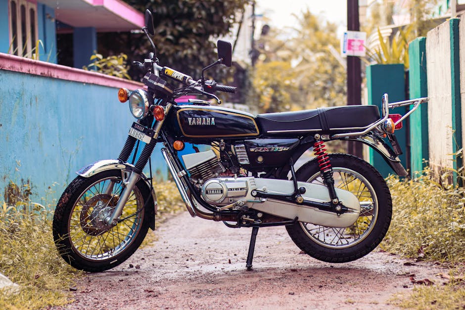 Imagen del artículo