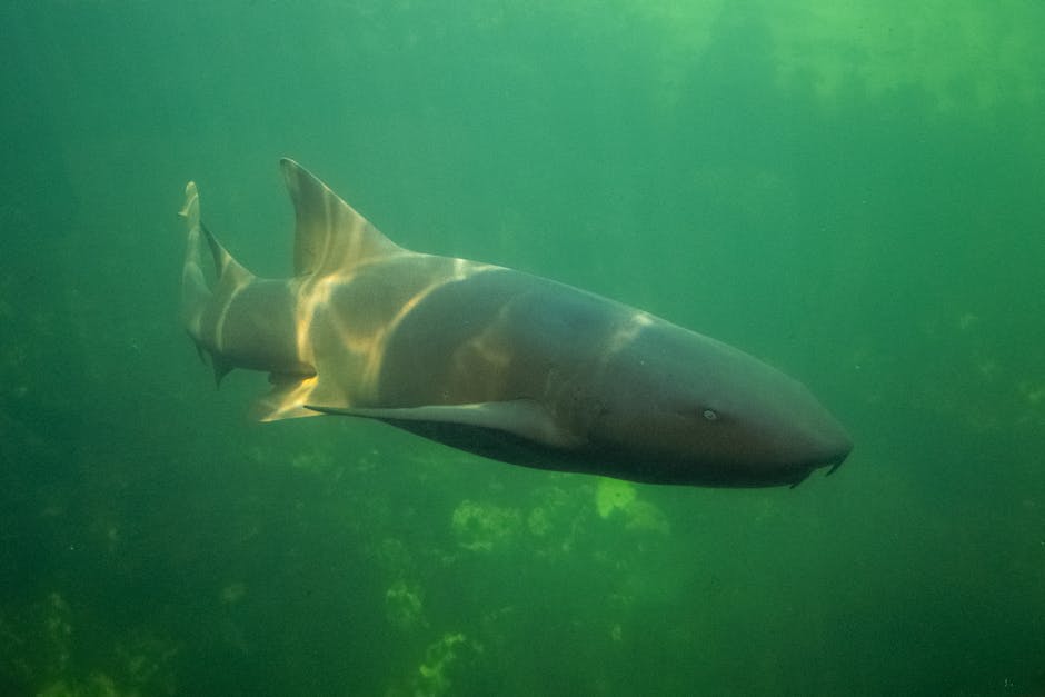 Imagen del artículo