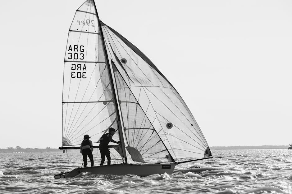 Imagen del artículo