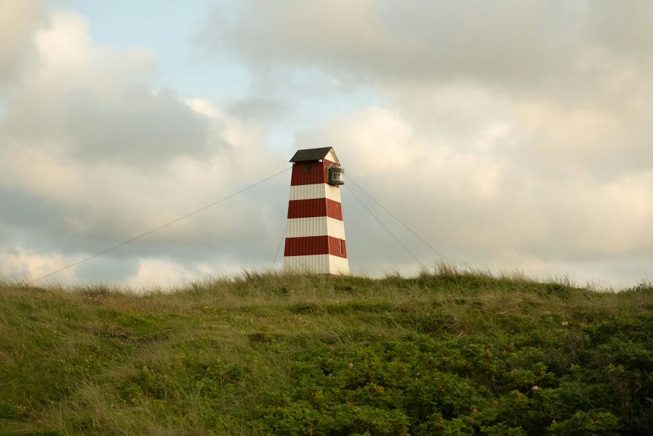 Imagen del artículo