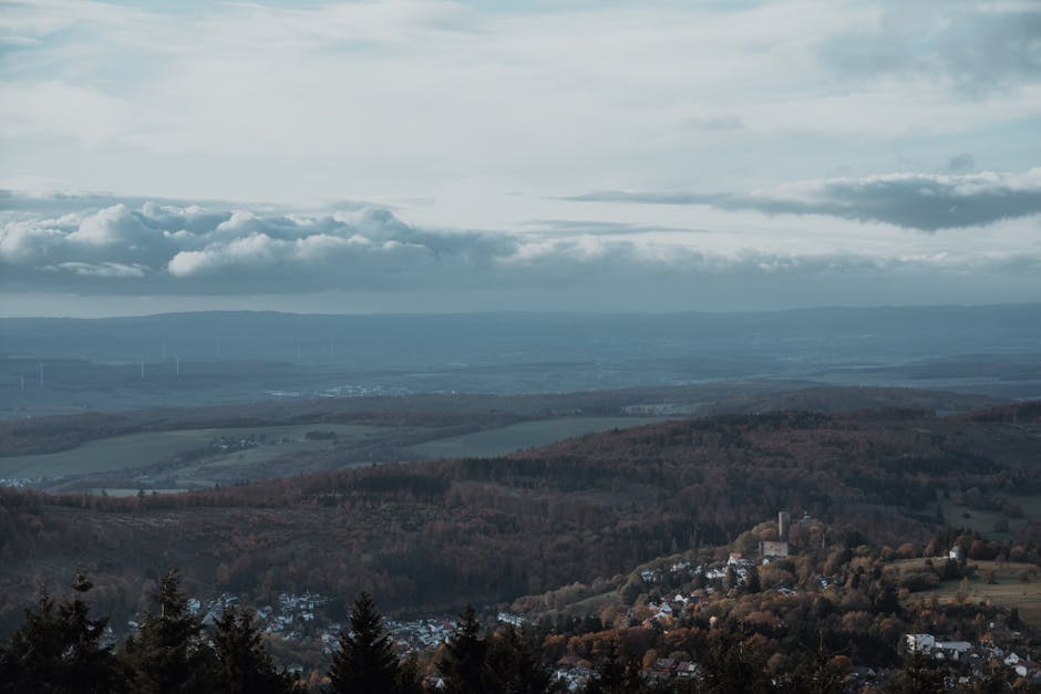 Imagen del artículo