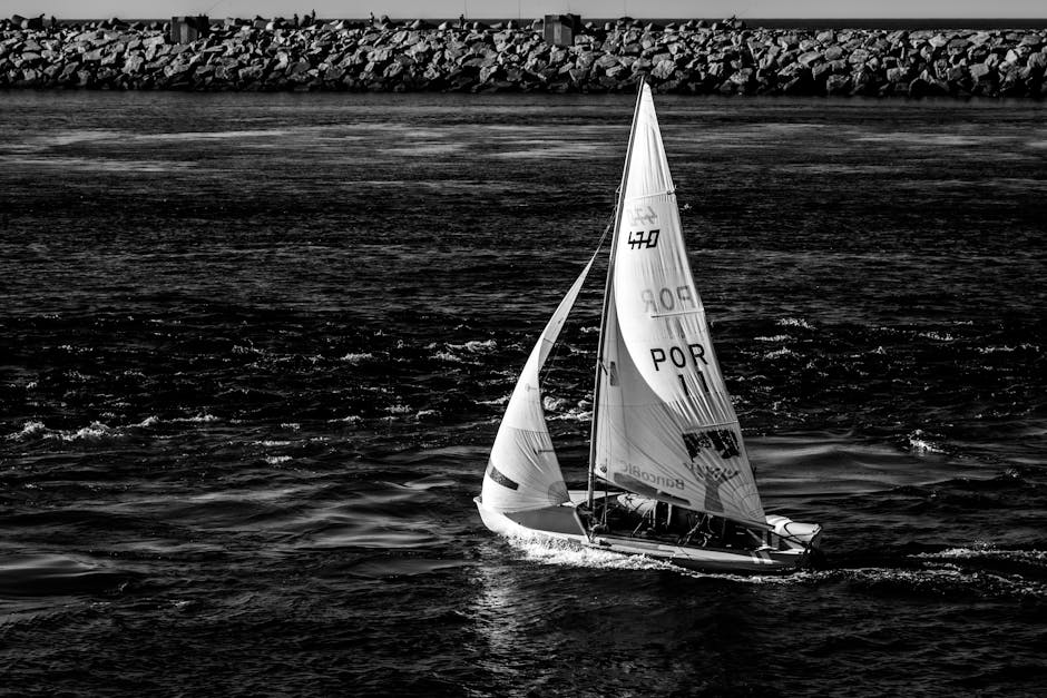 Imagen del artículo