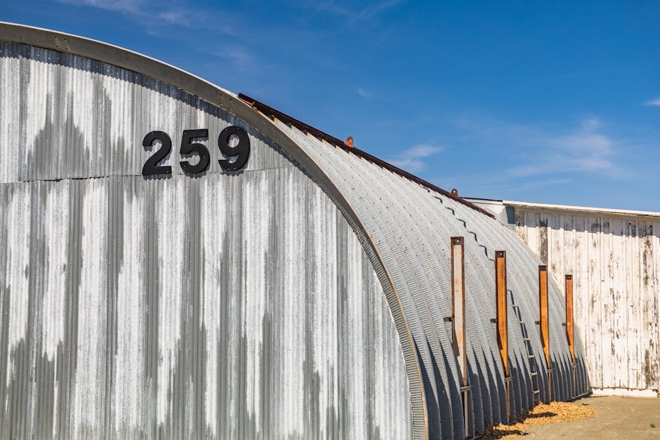 Imagen del artículo