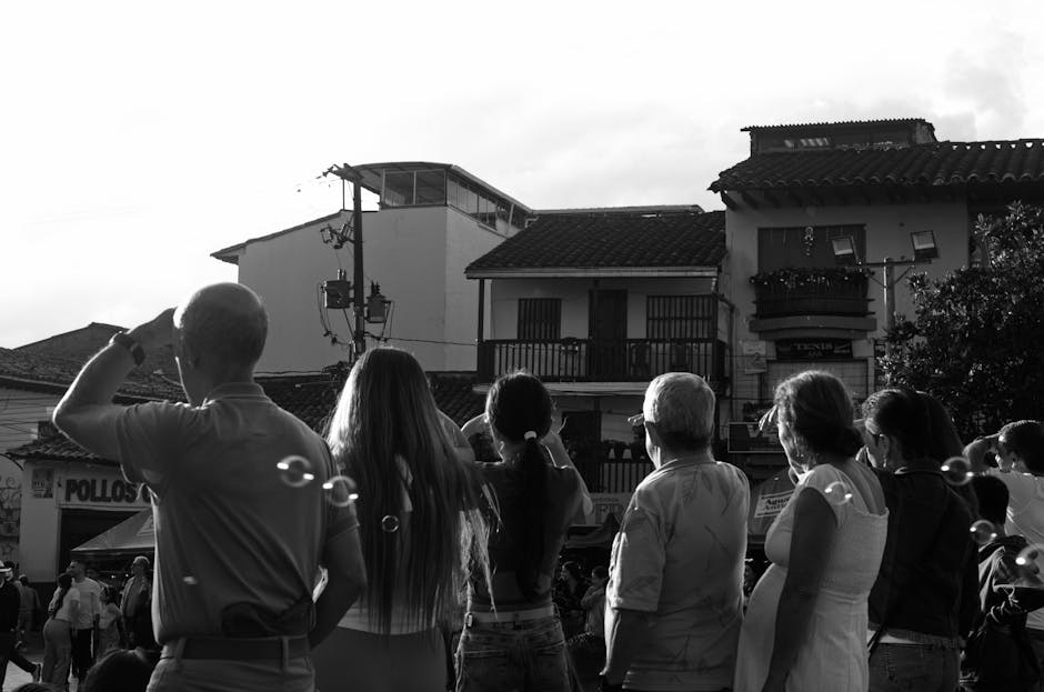 Imagen del artículo