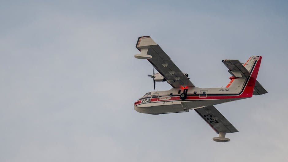 Imagen del artículo