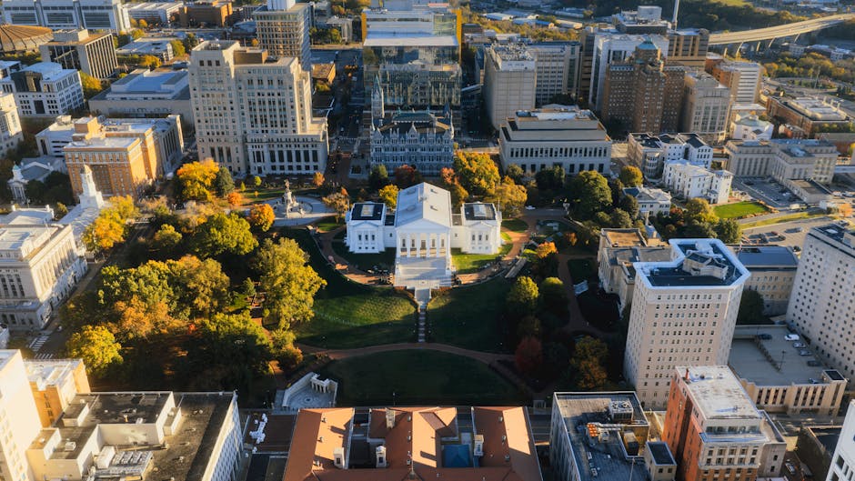 Imagen del artículo