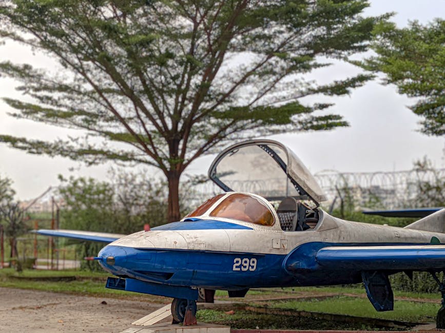 Imagen del artículo