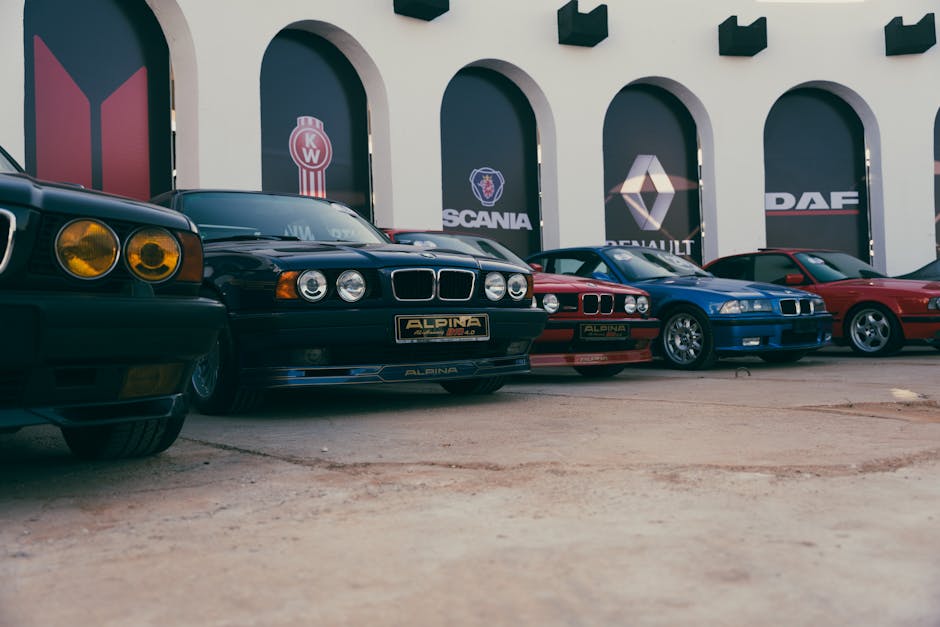 Imagen del artículo