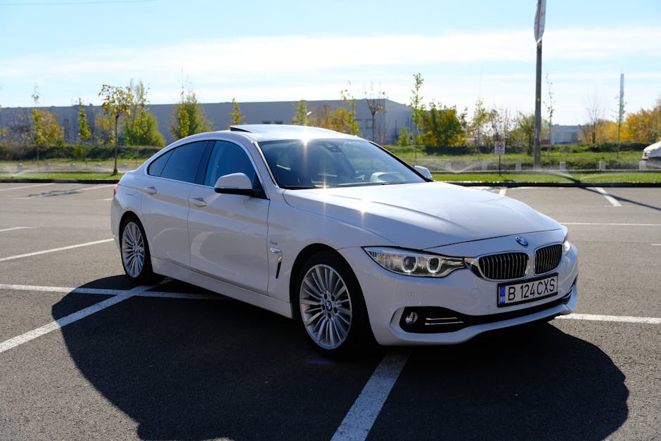 Imagen del artículo