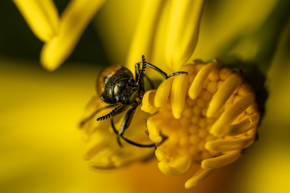 Imagen del artículo