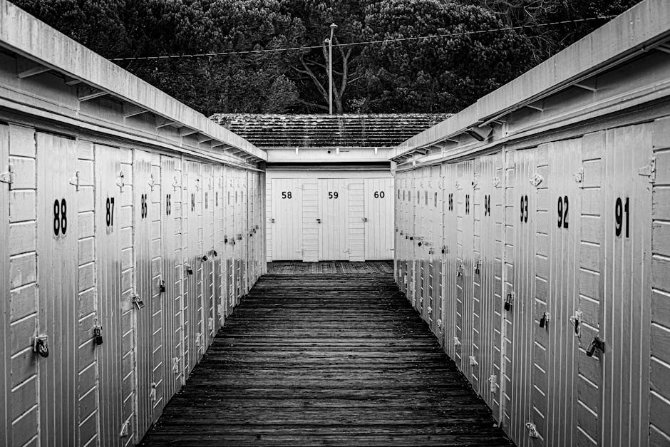 Imagen del artículo