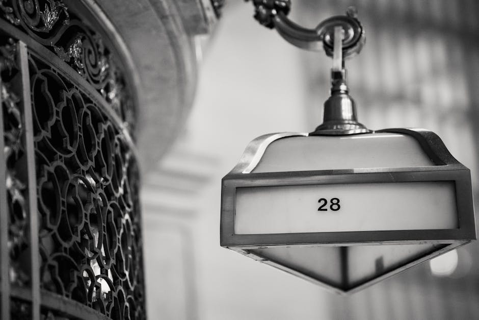 Imagen del artículo