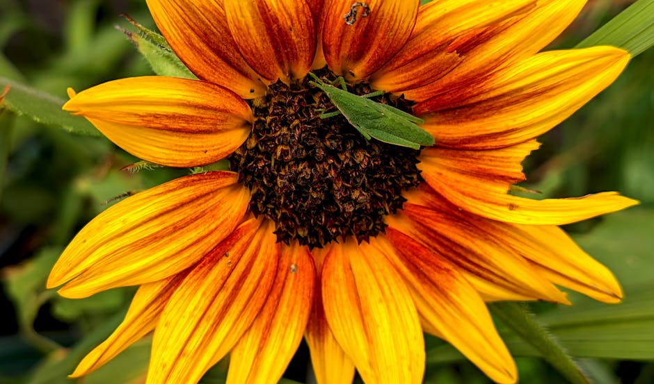 Imagen del artículo