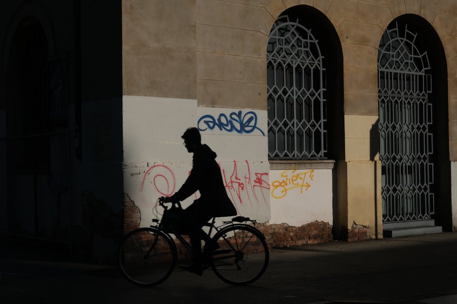 Imagen del artículo